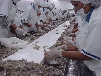 墨西哥出口商開拓新市場，加工貿易成水產行業新機遇