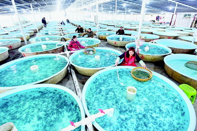 貴州振興農村經濟深刻產業革命一年紀實（下篇） 水產品產業破浪前行