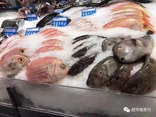 超贊實用！打造吸睛又保鮮的海鮮水產品陳列全攻略