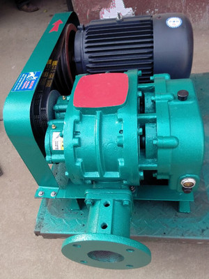 KQSR系列-糧食加工用羅茨風機 _供應信息_商機_中國食品機械設備網