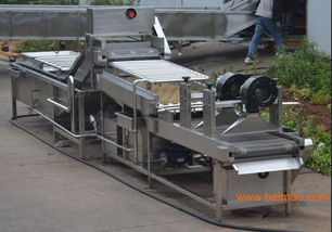 廠家直銷優(yōu)質(zhì)大蒜清洗風(fēng)干機(jī),廠家直銷優(yōu)質(zhì)大蒜清洗風(fēng)干機(jī)生產(chǎn)廠家,廠家直銷優(yōu)質(zhì)大蒜清洗風(fēng)干機(jī)價(jià)格